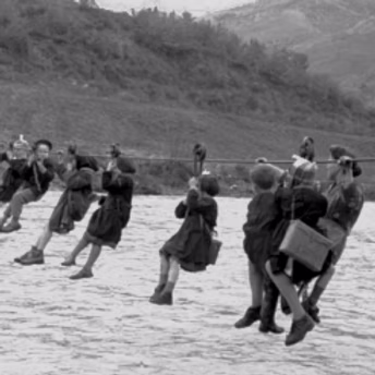 VIE DI FUGA / FILÒ Celli e Caterpillar